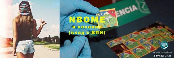 стафф Новокубанск