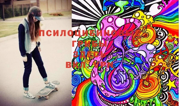 винт Новозыбков