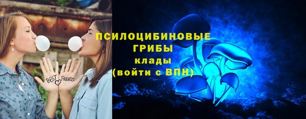 винт Новозыбков