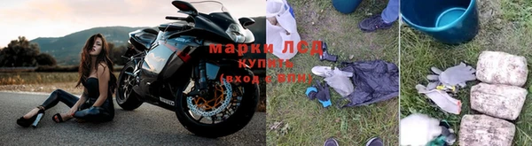 винт Новозыбков